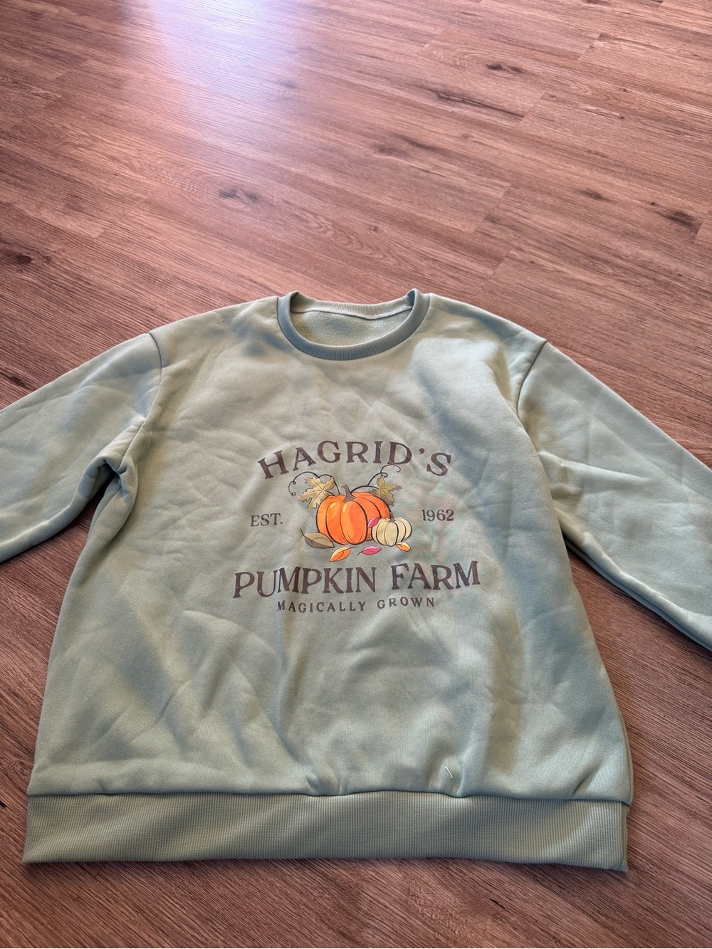 Hagrid's Pumpkin Farm Graphic Sweatshirt - Sage Green